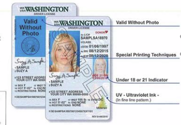 Washington Drivers License Lookup